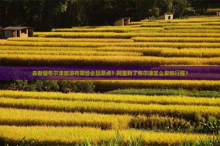 去新疆布尔津旅游有哪些必玩景点？阿里到了布尔津怎么安排行程？