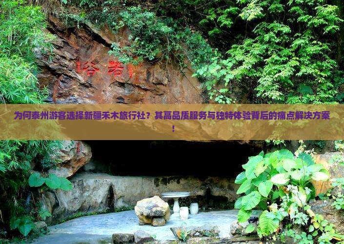 为何泰州游客选择新疆禾木旅行社？其高品质服务与独特体验背后的痛点解决方案！