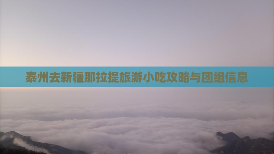 泰州去新疆那拉提旅游小吃攻略与团组信息