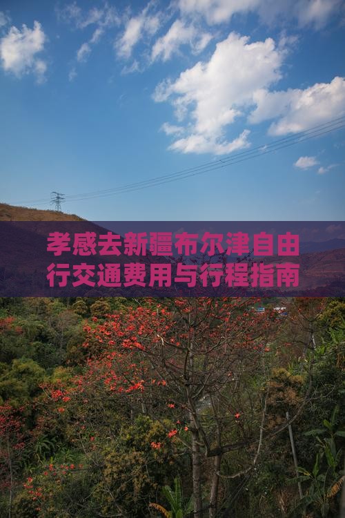 孝感去新疆布尔津自由行交通费用与行程指南