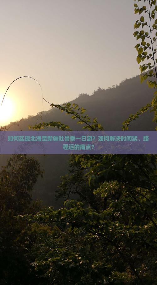 如何实现北海至新疆吐鲁番一日游？如何解决时间紧、路程远的痛点？