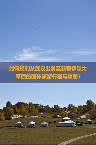 如何规划从武汉出发至新疆伊犁大草原的团体旅游行程与攻略？