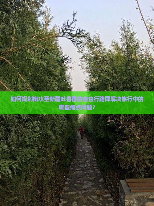如何规划衡水至新疆吐鲁番的自由行路犀解决旅行中的哪些痛点问题？