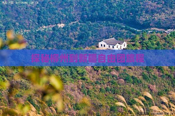 探秘柳州到新疆自由团旅程