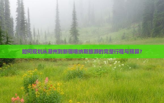 如何规划从潮州到新疆喀纳斯旅游的完整行程与预算？