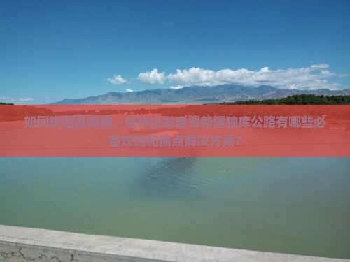 如何规避高峰期，桂林出发自驾新疆独库公路有哪些必备攻略和痛点解决方案？