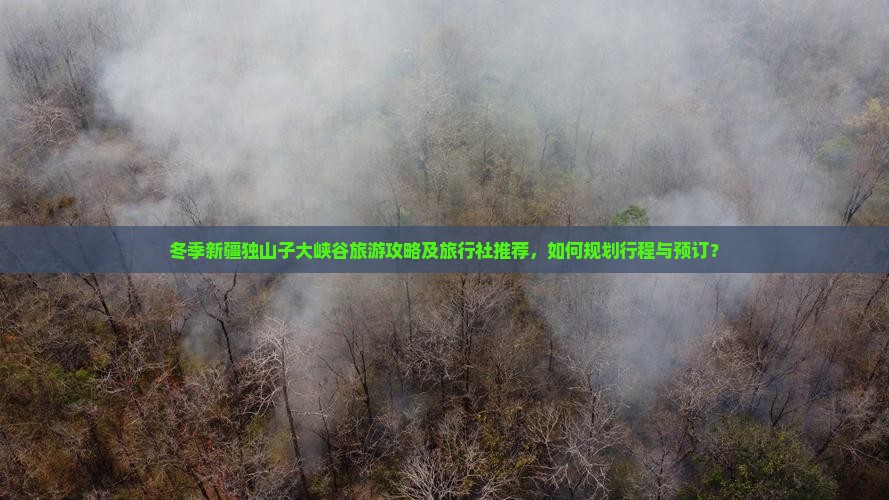 冬季新疆独山子大峡谷旅游攻略及旅行社推荐，如何规划行程与预订？