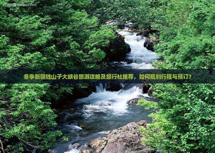 冬季新疆独山子大峡谷旅游攻略及旅行社推荐，如何规划行程与预订？