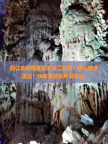 阳江去新疆赛里木湖二日游？担心路途遥远？快来看这条种草笔记！