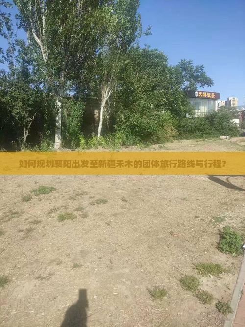 如何规划襄阳出发至新疆禾木的团体旅行路线与行程？