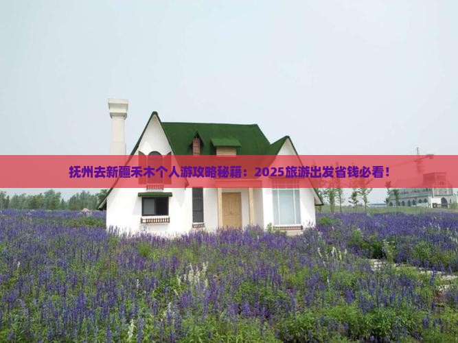 抚州去新疆禾木个人游