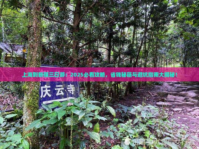 上海到新疆三日游