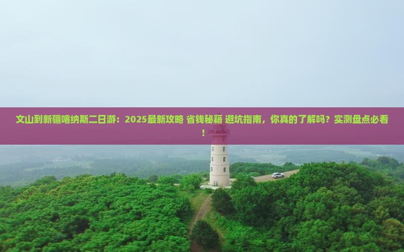 文山到新疆喀纳斯二日游