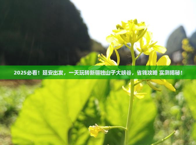 延安到新疆独山子大峡谷一日