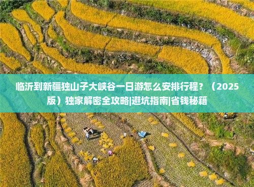临沂到新疆独山子大峡谷一日