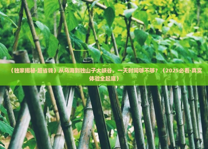 乌海市去新疆独山子大峡谷一日