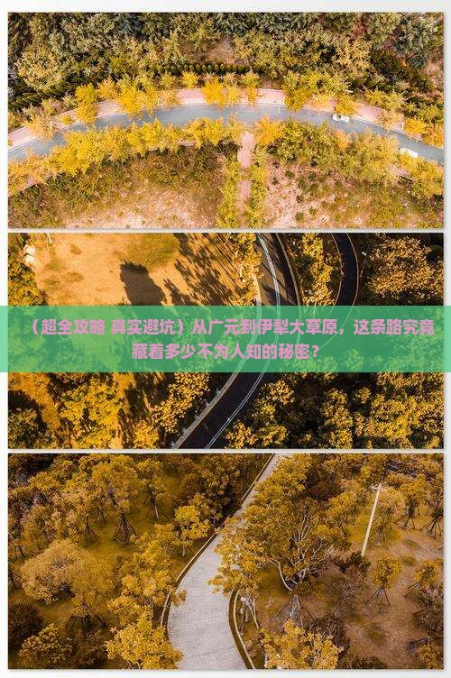 广元到新疆伊犁大草原大型旅游团