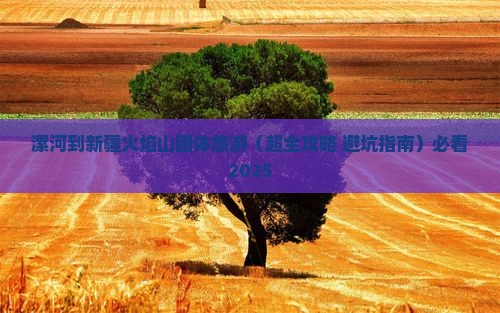 漯河到新疆火焰山团体旅游