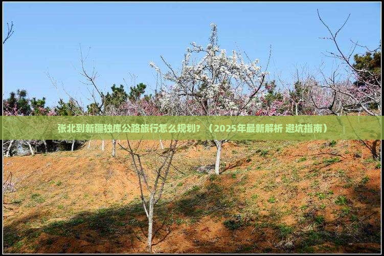 张北到新疆独库公路旅行社