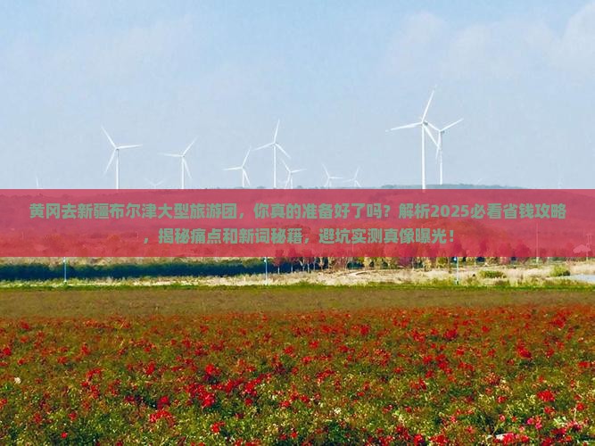 黄冈去新疆布尔津大型旅游团