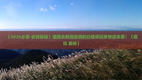 白银去新疆团体旅游