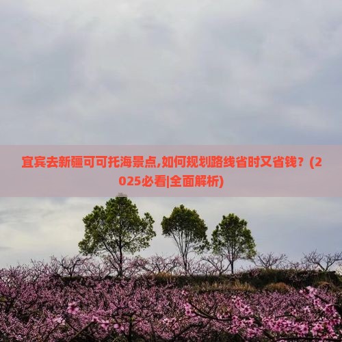 宜宾去新疆可可托海景点