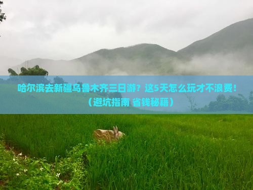 哈尔滨去新疆乌鲁木齐三日游