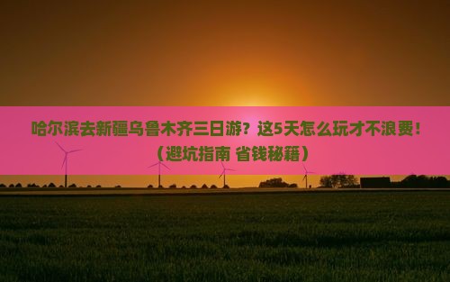 哈尔滨去新疆乌鲁木齐三日游
