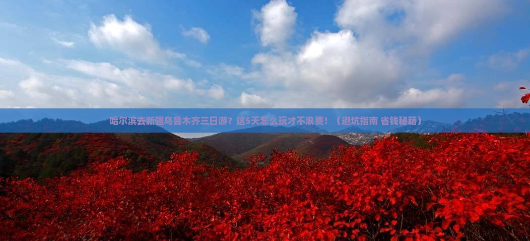 哈尔滨去新疆乌鲁木齐三日游