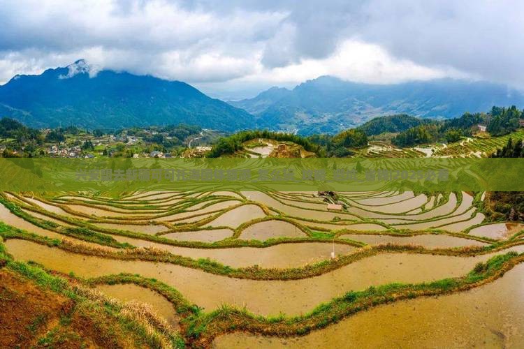 兴安盟去新疆可可托海团体旅游