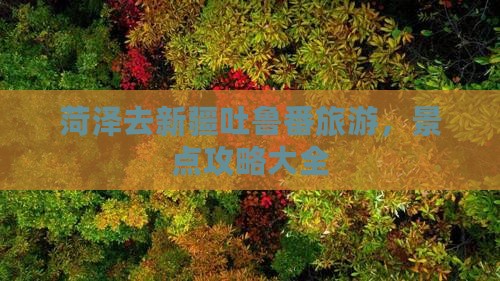 菏泽去新疆吐鲁番哪里玩