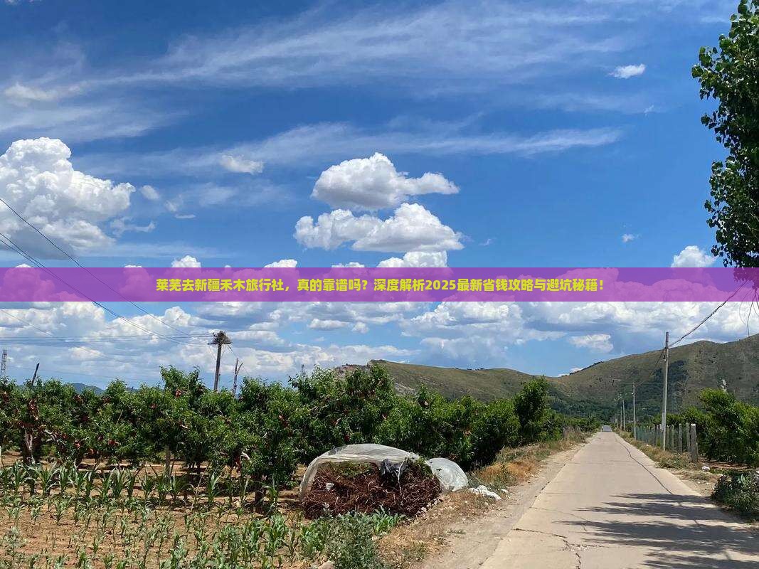 莱芜去新疆禾木旅行社
