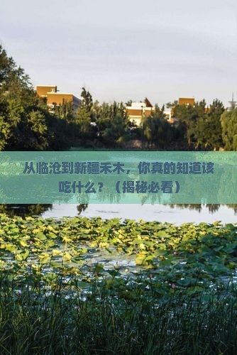 临沧去新疆禾木旅游小吃