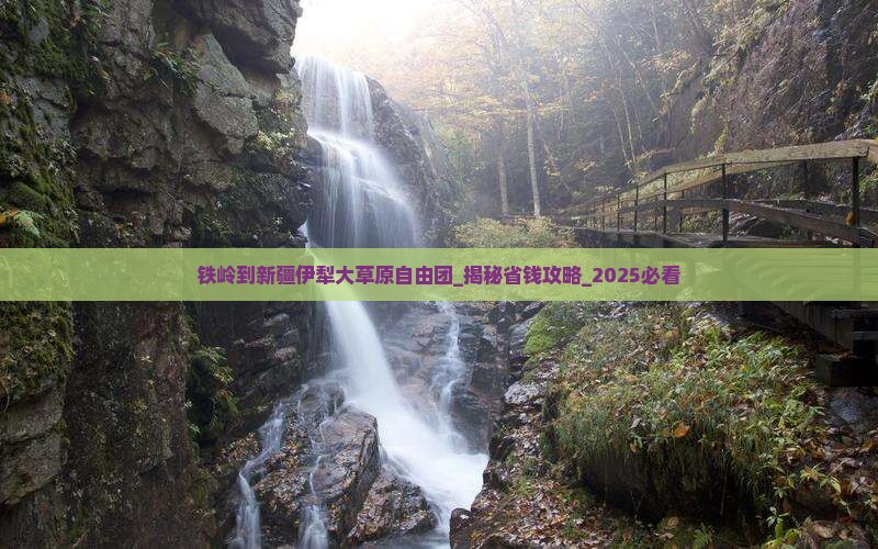 铁岭到新疆伊犁大草原自由团