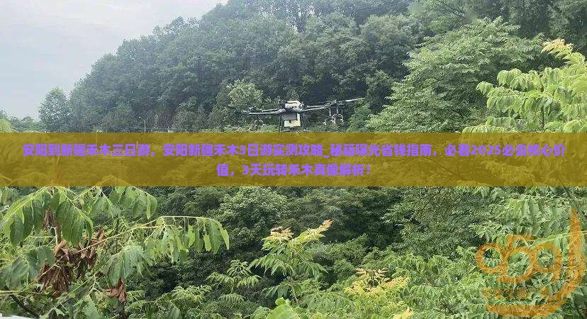 安阳到新疆禾木三日游