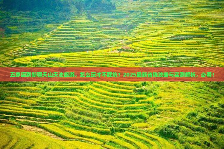 五家渠到新疆天山天池旅游