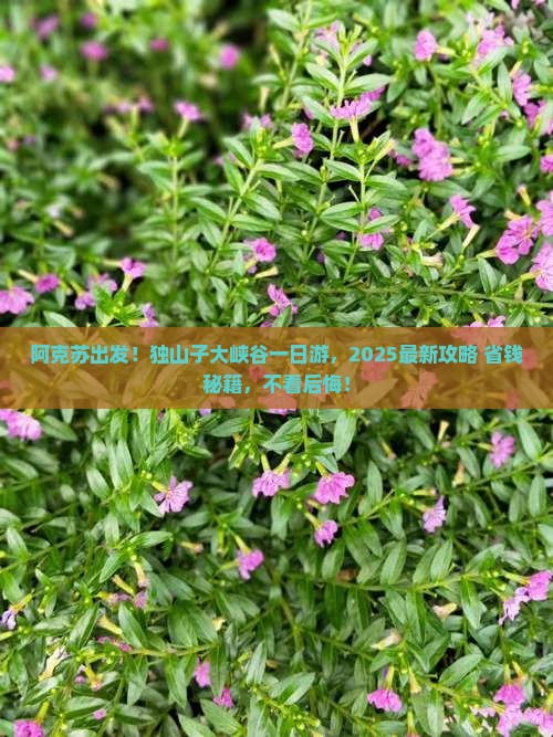 阿克苏到新疆独山子大峡谷一日