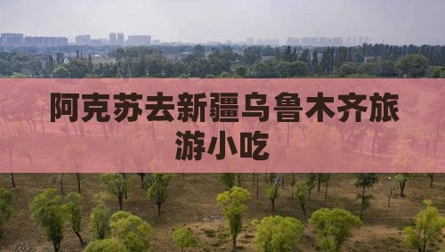 阿克苏去新疆乌鲁木齐旅游小吃