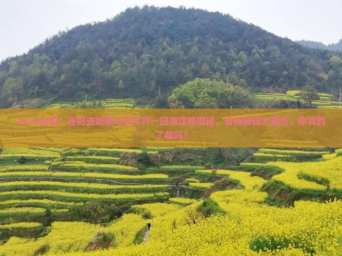 岳阳去新疆乌鲁木齐一日