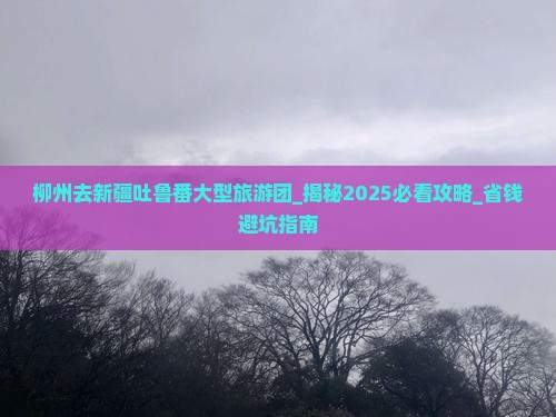 柳州去新疆吐鲁番大型旅游团