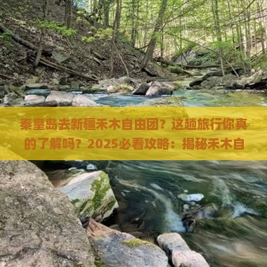 秦皇岛去新疆禾木自由团