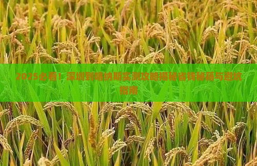 深圳到新疆喀纳斯攻略