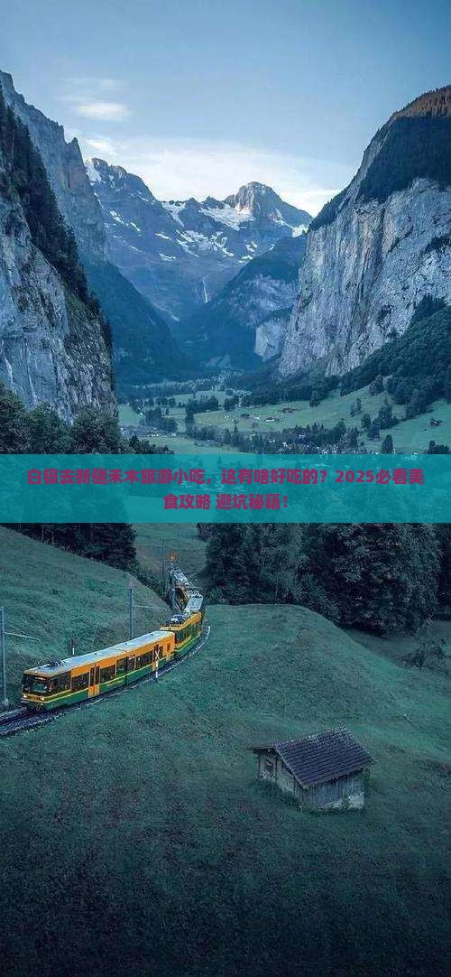 白银去新疆禾木旅游小吃