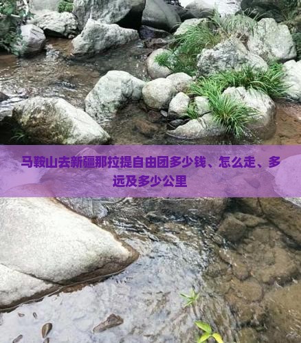 马鞍山去新疆那拉提自由团