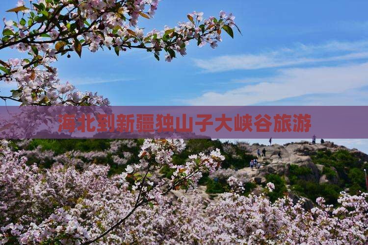海北到新疆独山子大峡谷团体旅游 海北到新疆独山子大峡谷团体旅游