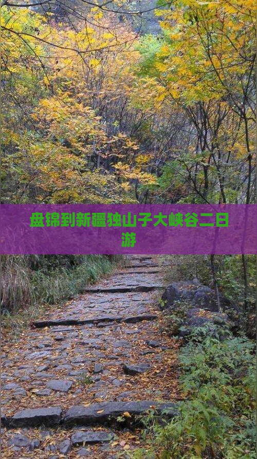 盘锦到新疆独山子大峡谷二日游