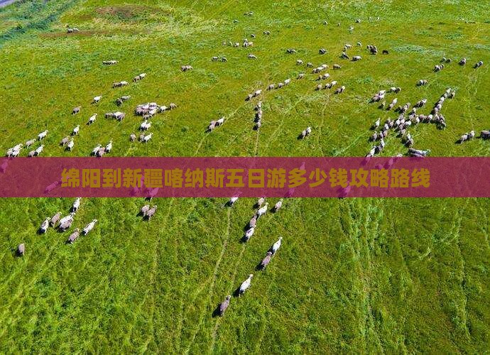 绵阳到新疆喀纳斯五日游
