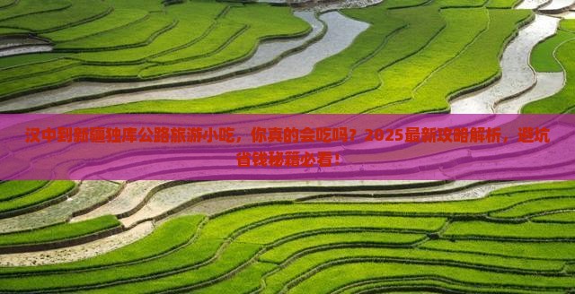 汉中到新疆独库公路旅游小吃