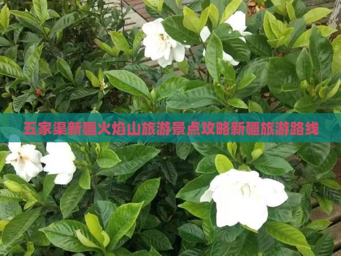 五家渠到新疆火焰山自由行
