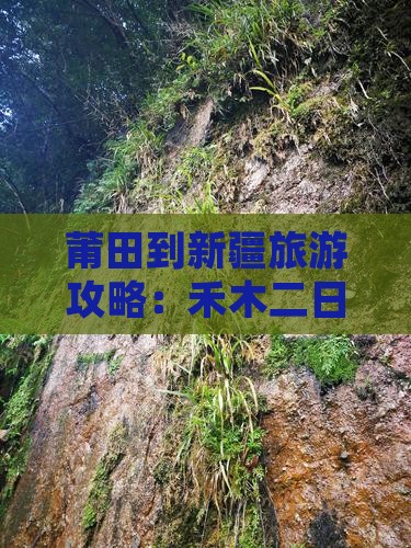 莆田到新疆禾木二日游